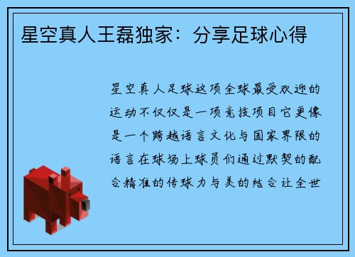 星空真人王磊独家：分享足球心得