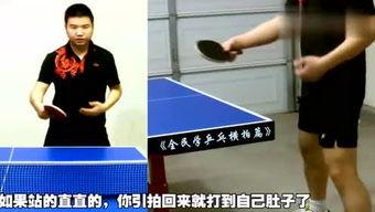 乒乓球 八卦,乒乓球运动中的阴阳之道