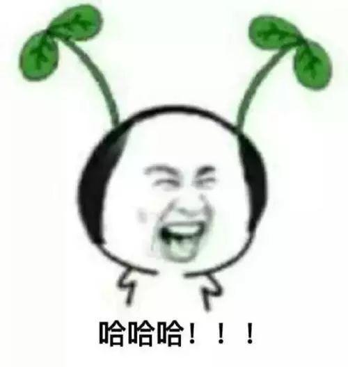 高跟鞋表情包,揭秘高跟鞋表情包背后的故事