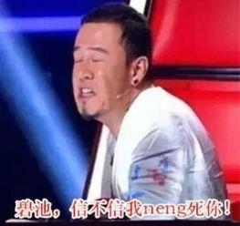 杨坤动态表情包,动态演绎音乐才子的百变魅力