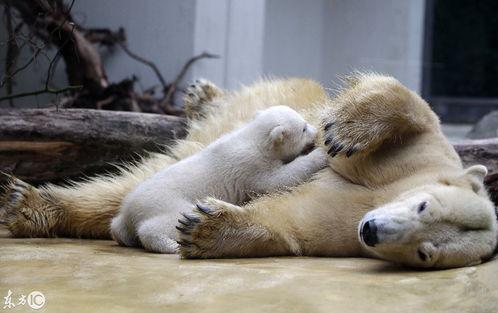 母子情深的图片,温馨瞬间定格