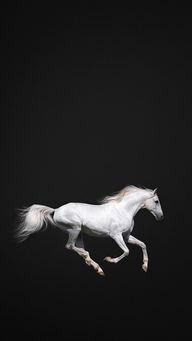 身骑白马背景故事,传奇英雄的荣耀征程