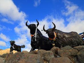 犹龙个人资料,才华横溢的年轻艺术家，用镜头讲述时代故事